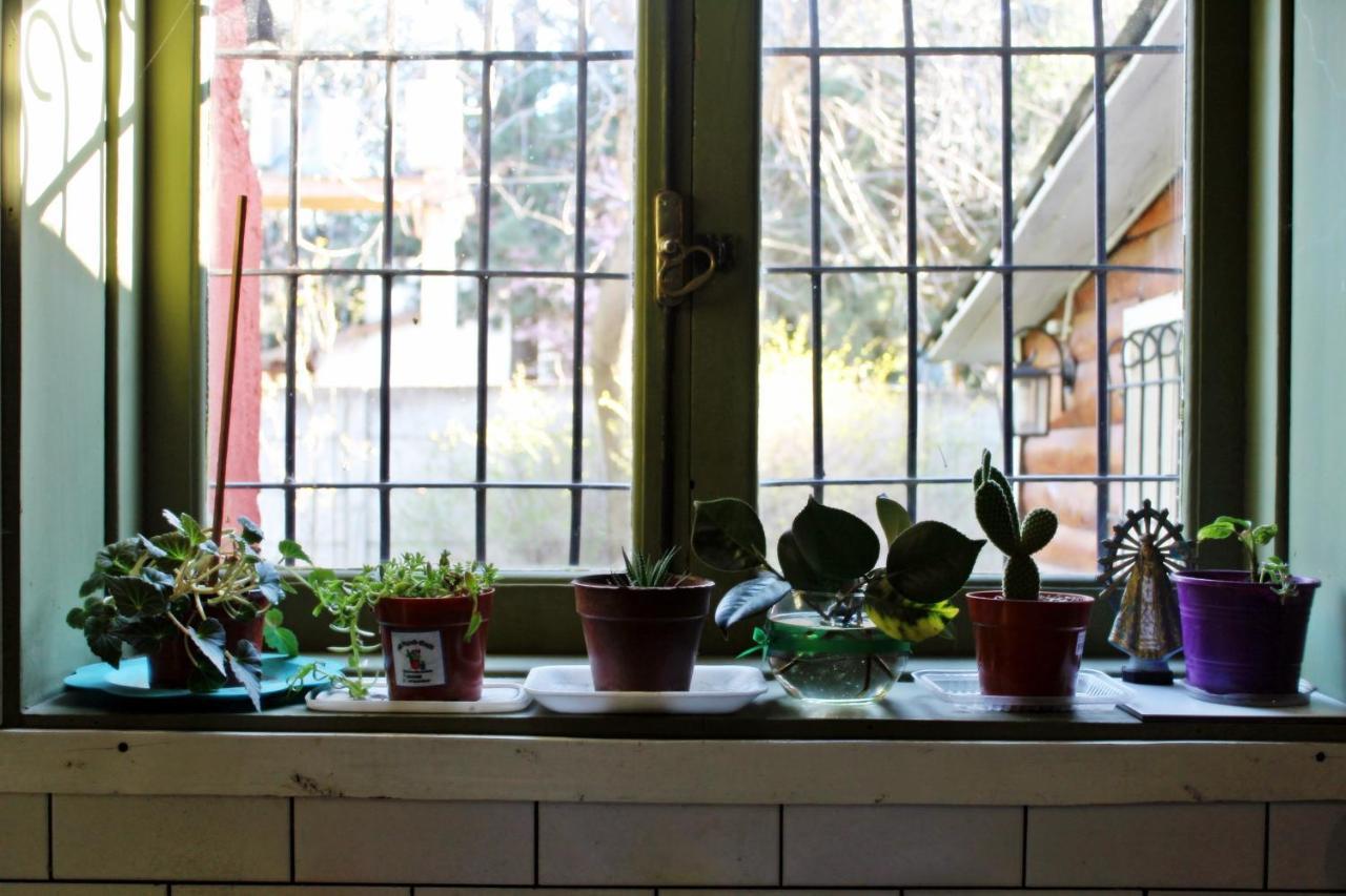 Alhue Patagonia Hostel San Martín de los Andes Zewnętrze zdjęcie