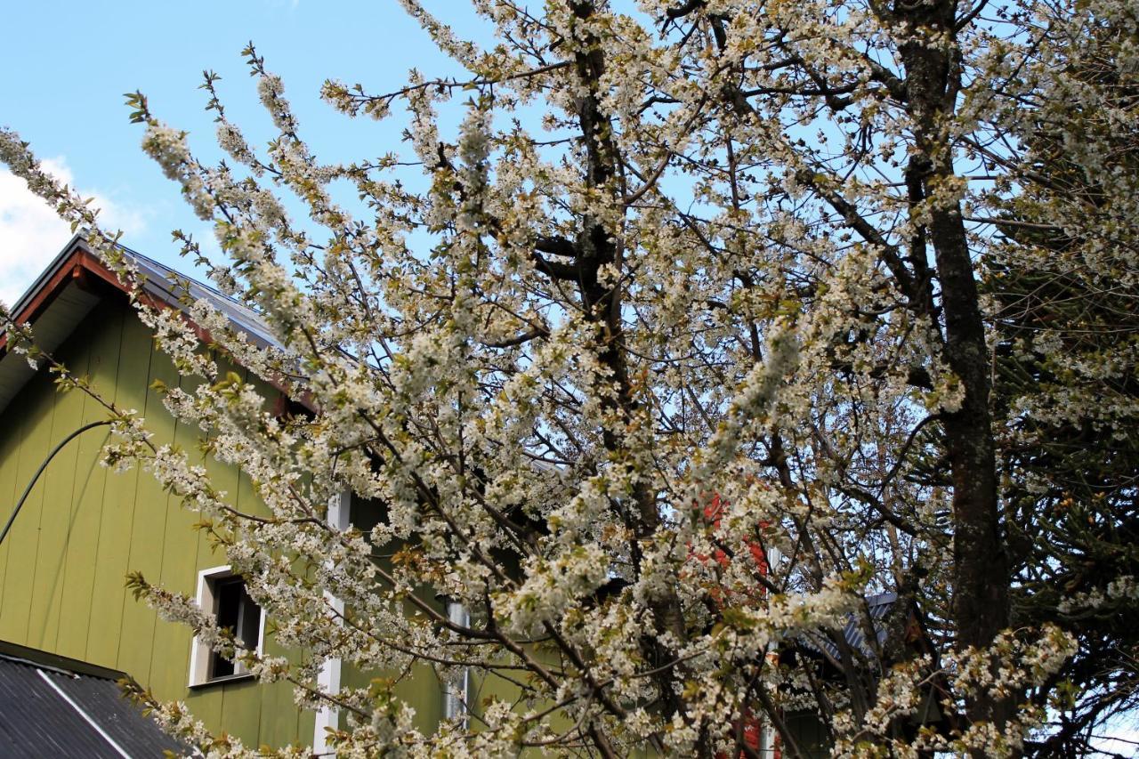 Alhue Patagonia Hostel San Martín de los Andes Zewnętrze zdjęcie
